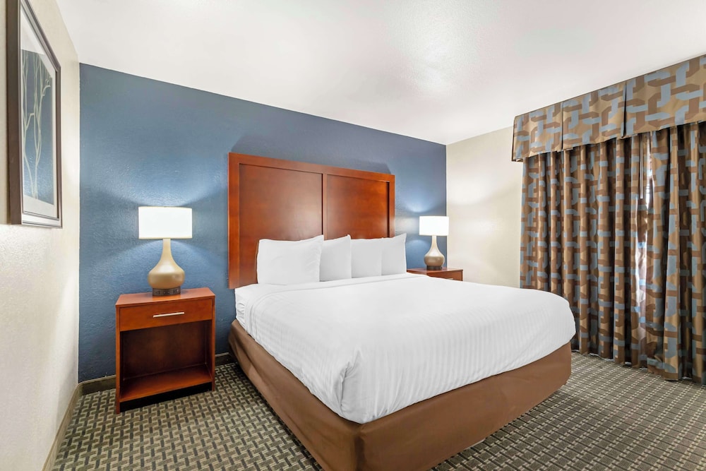 Suite, 1 King Bed, Accessible, Kitchenette (with Sofabed) - Photo 4