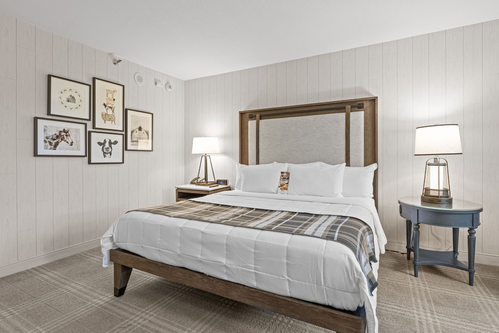 Standard Room, 1 Queen Bed - Photo 4