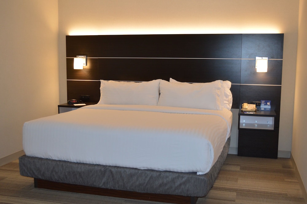 Room, 1 King Bed, Accessible (Communications, Mobil, Roll-In Shower) - Photo 1