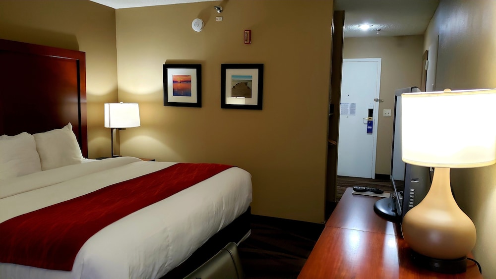 Standard Room, 1 King Bed, Non Smoking (Accessible) photo 2