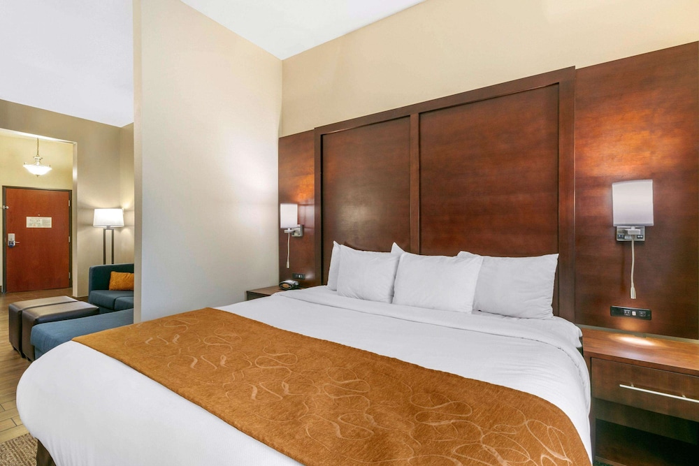 Suite, 1 King Bed with Sofa bed, Accessible, Non Smoking