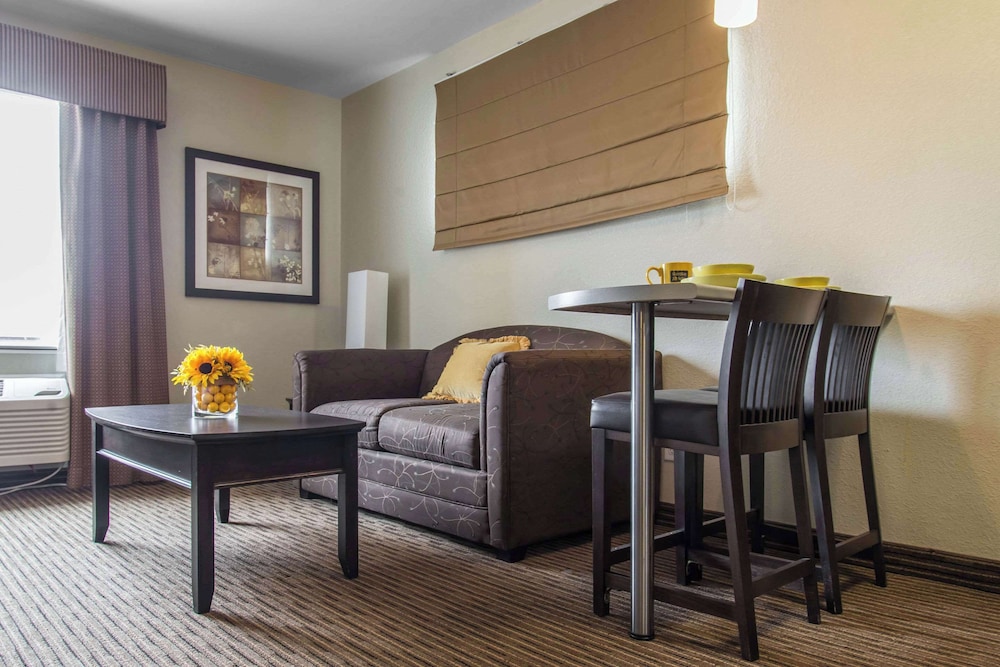 Suite, 1 King Bed with Sofa bed, Non Smoking