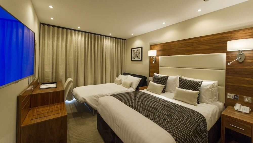 Family Executive Room photo 1
