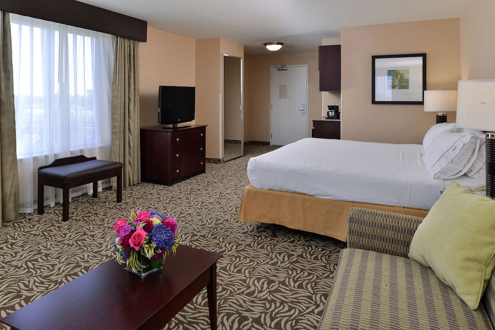Suite, 1 King Bed (Extra Floor Space) - Photo 2