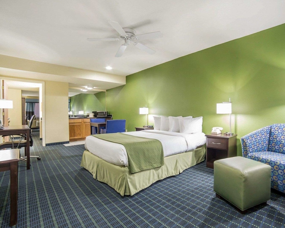 Room, 1 King Bed, Accessible, Non Smoking photo 3