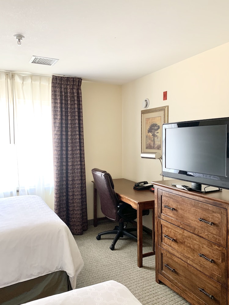 Suite, 1 Bedroom, Kitchen (2 Dbl Beds) - Photo 4