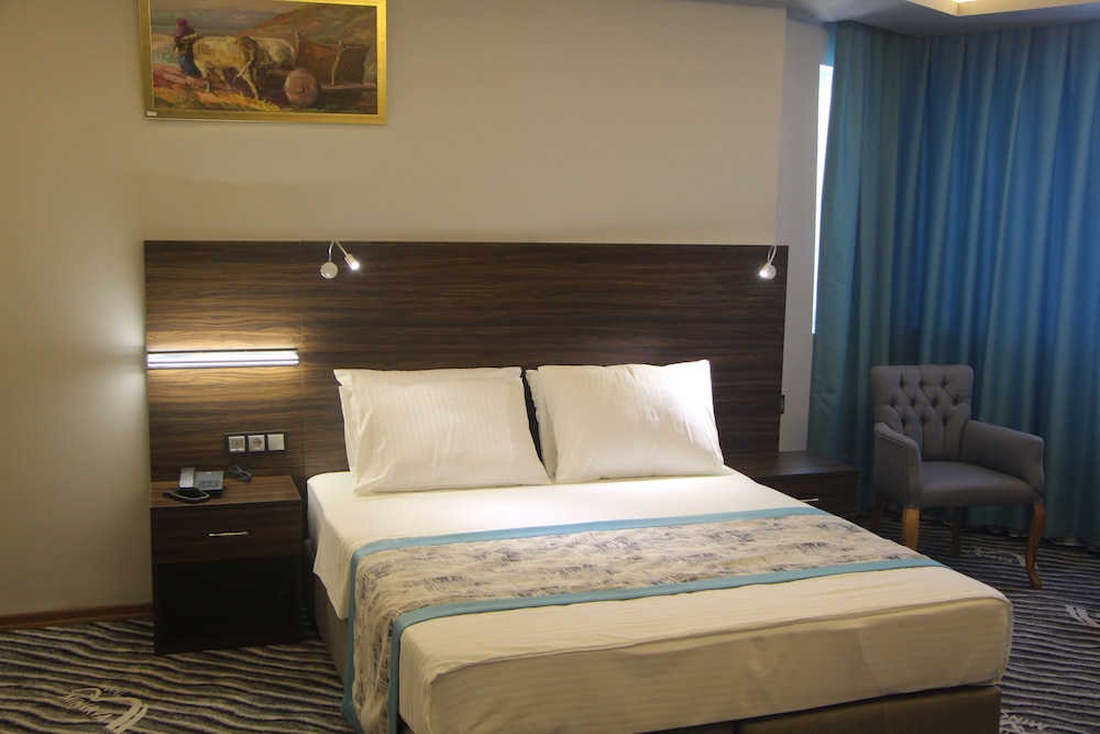 Deluxe Double Room photo 3