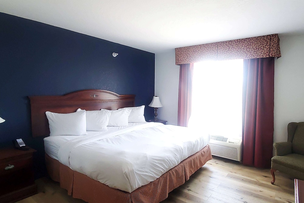 Single Room, 1 King Bed, Non Smoking