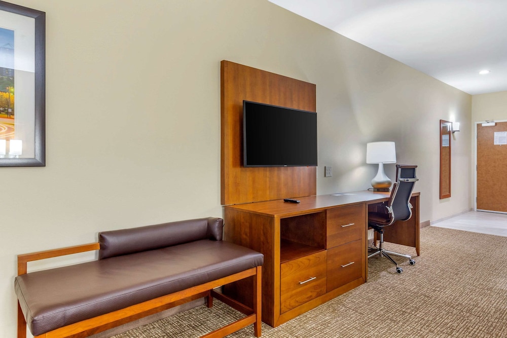Suite, 1 King Bed, Accessible, Non Smoking - Photo 6