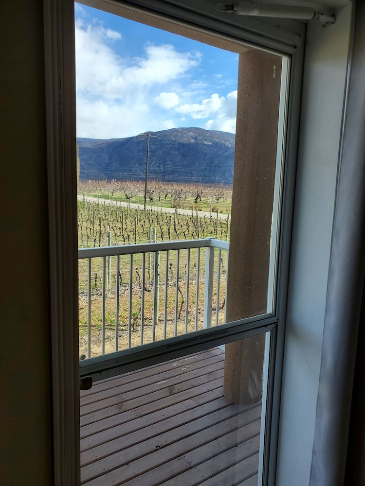 Room, 1 Queen Bed, Non Smoking, Valley View photo 3
