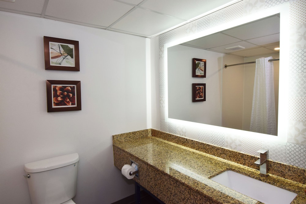 Suite, 1 King Bed with Sofa bed, Non Smoking (Upgrade) - Photo 4