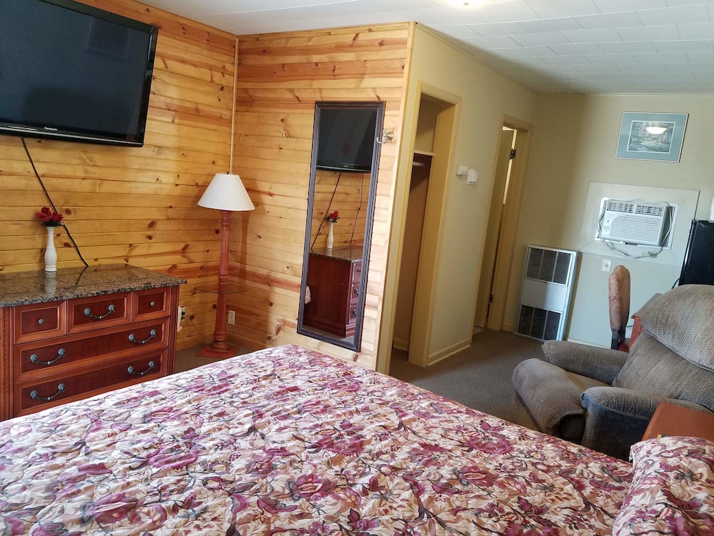 Executive Single Room, 1 King Bed, Non Smoking, Refrigerator & Microwave photo 1