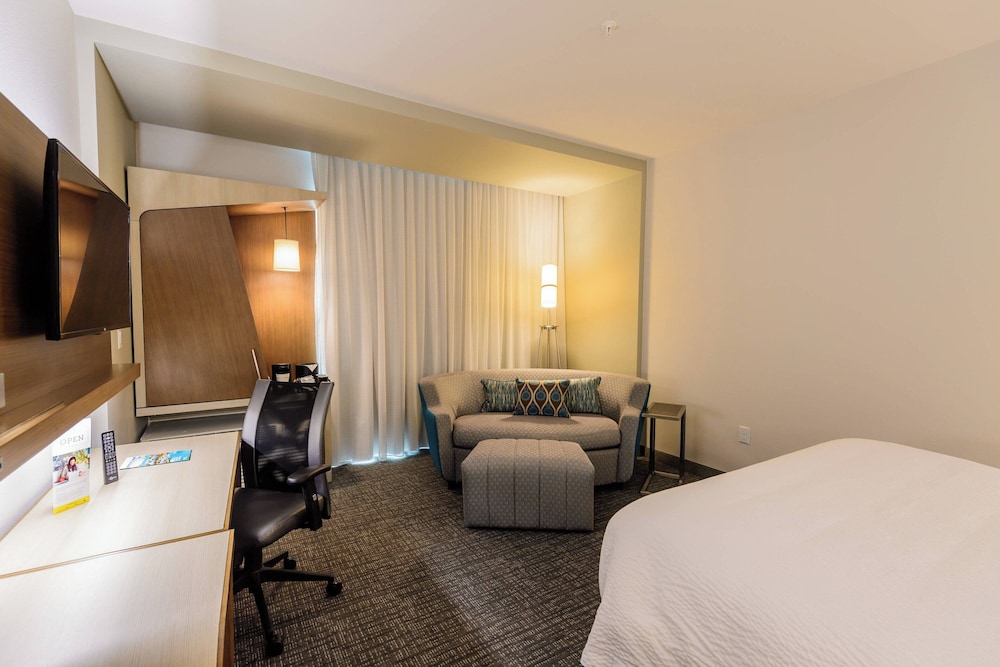 Room, 1 King Bed with Sofa bed