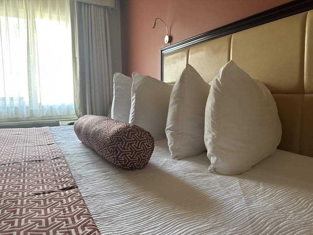 Deluxe Room photo 2