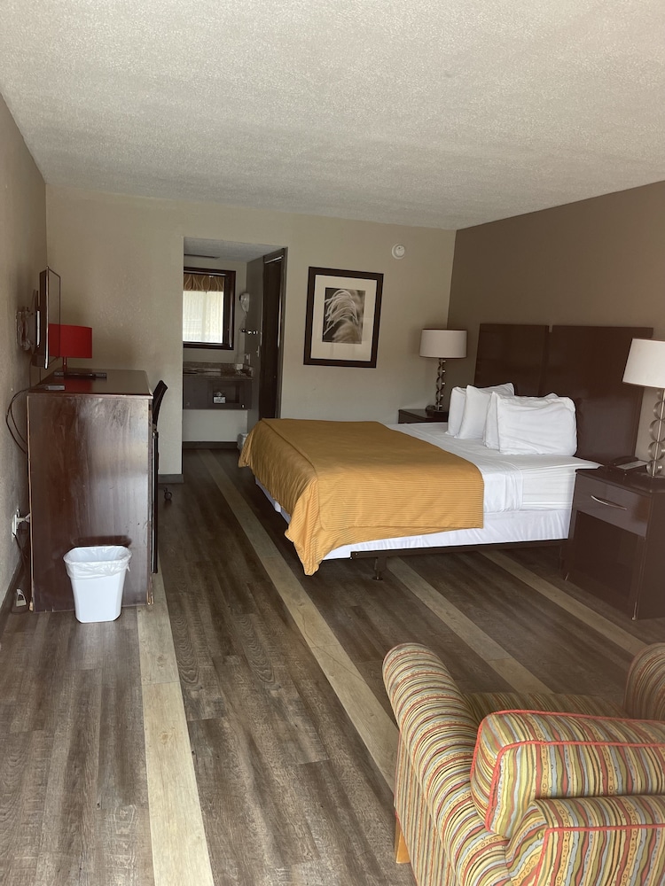 Single Room, 1 King Bed (Ground Floor) photo 1