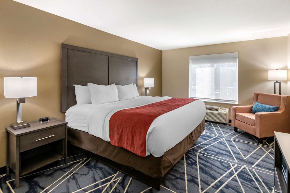 Suite, 1 King Bed with Sofa bed, Accessible, Non Smoking photo 2