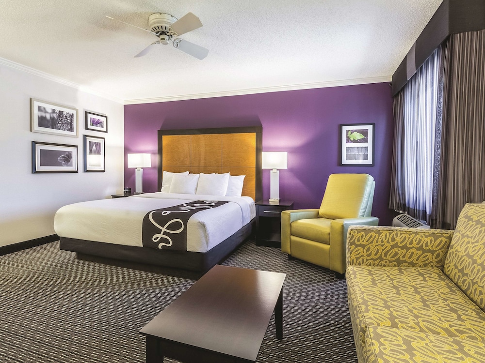 Deluxe Suite, 1 King Bed, Non Smoking - Photo 4