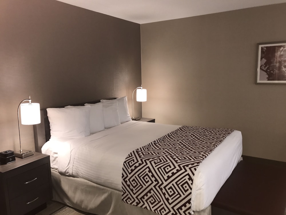 Superior Suite, 1 Queen Bed with Sofa bed, Non Smoking, Jetted Tub (with Sofabed) - Photo 2
