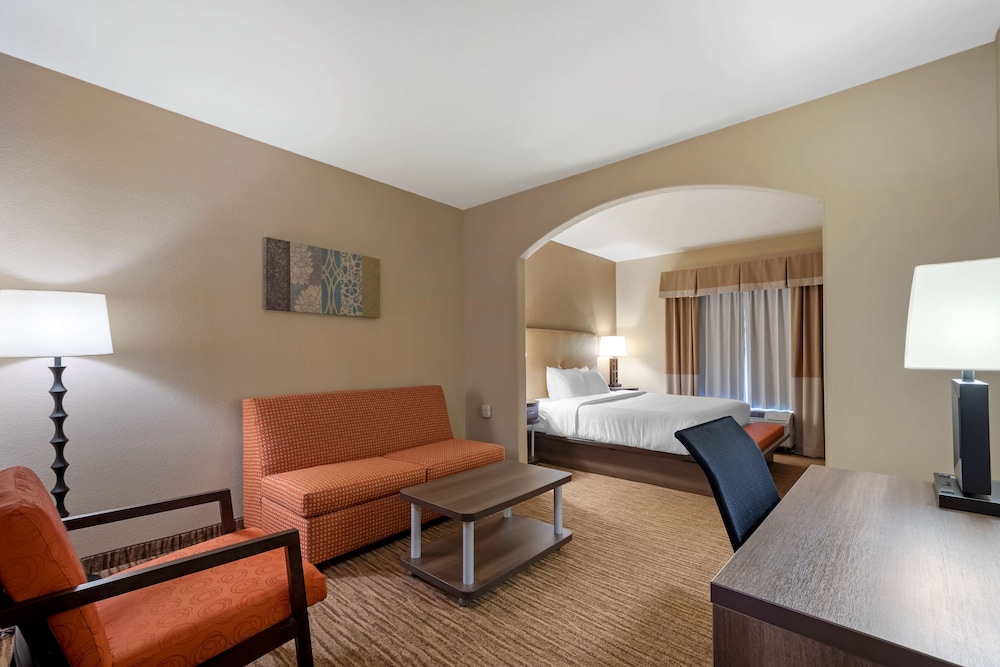 Suite, 1 King Bed, Non Smoking, Refrigerator & Microwave (with Sofabed) - Photo 3