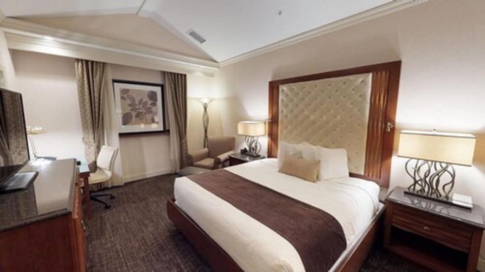 Suite, 1 King Bed, Accessible, Non Smoking (with Sofabed) - Photo 3