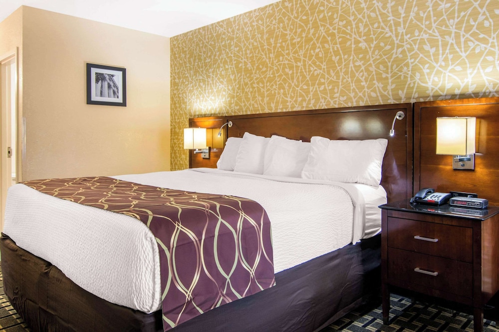 Standard Room, 1 King Bed, Non Smoking photo 3