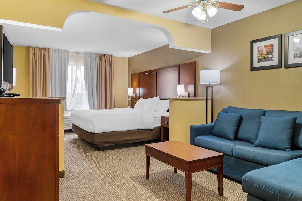 Deluxe Suite, 1 King Bed, Non Smoking photo 3