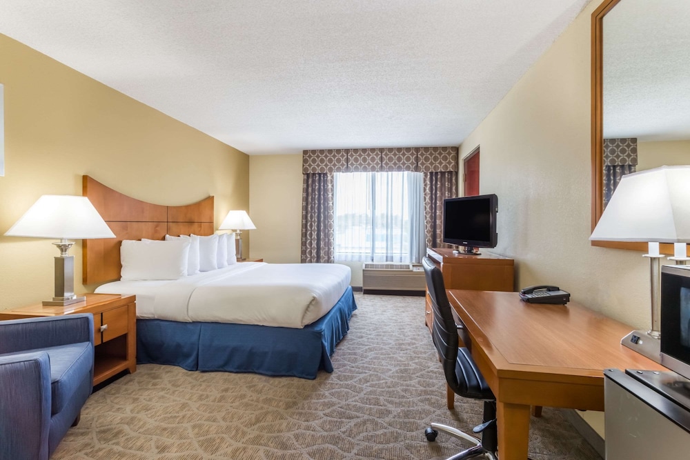 Standard Room, 1 King Bed with Sofa bed, Refrigerator & Microwave