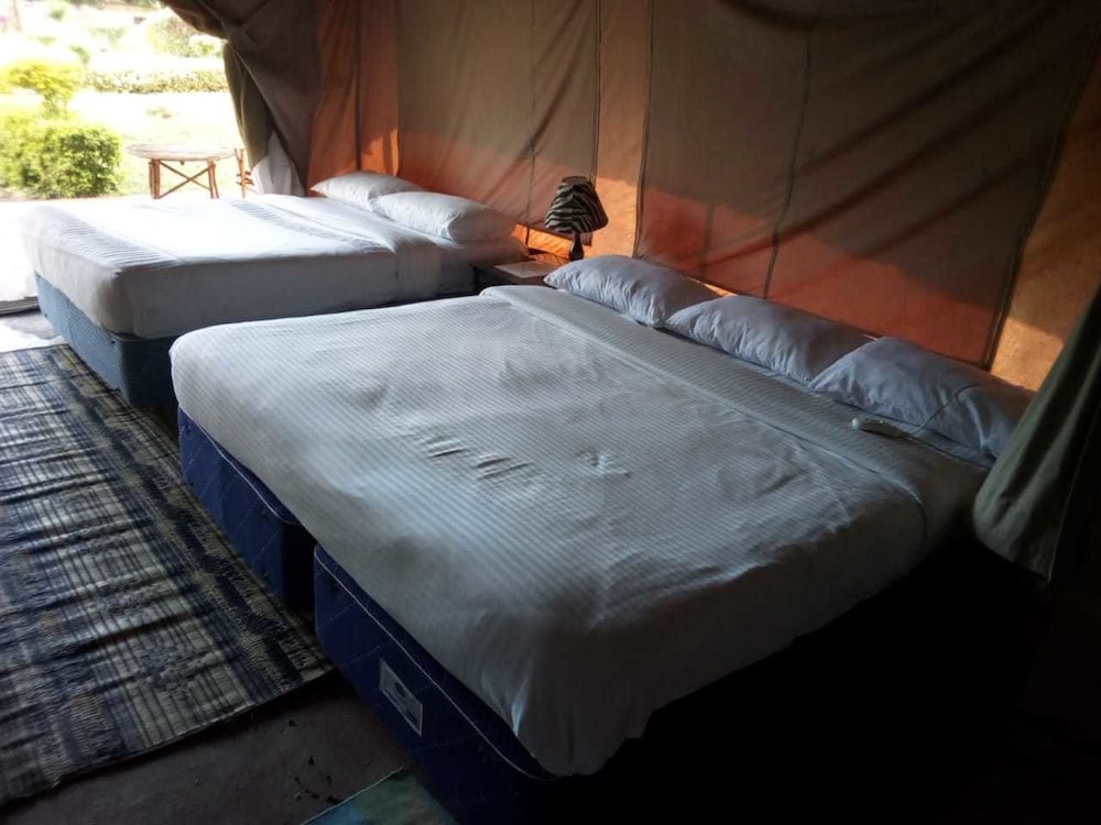 Comfort Tent photo 3