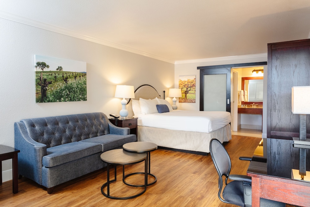 Standard Room, 1 King Bed, Non Smoking, Refrigerator (with Sofabed) photo 1
