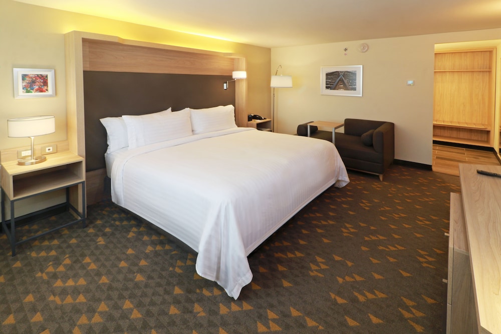 Suite, 1 King Bed - Photo 2