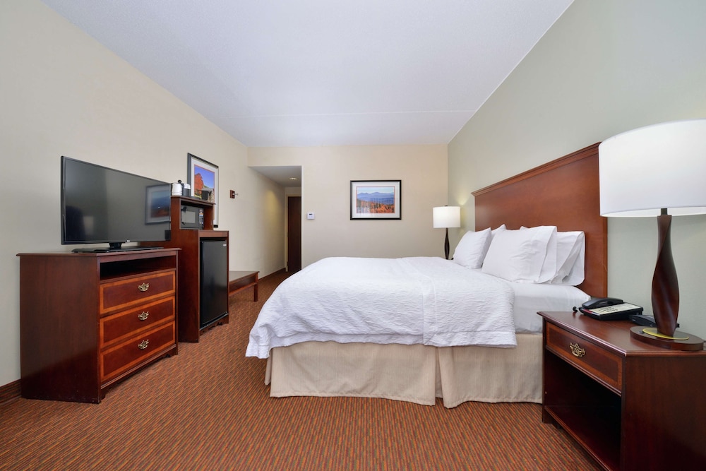 Room, 1 King Bed, Accessible, Non Smoking photo 2