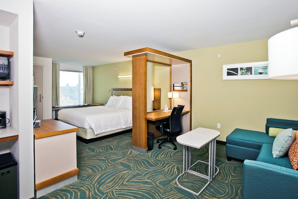 Studio, 1 King Bed with Sofa bed (Mobility/Hearing Access, Roll-in Shwr)
