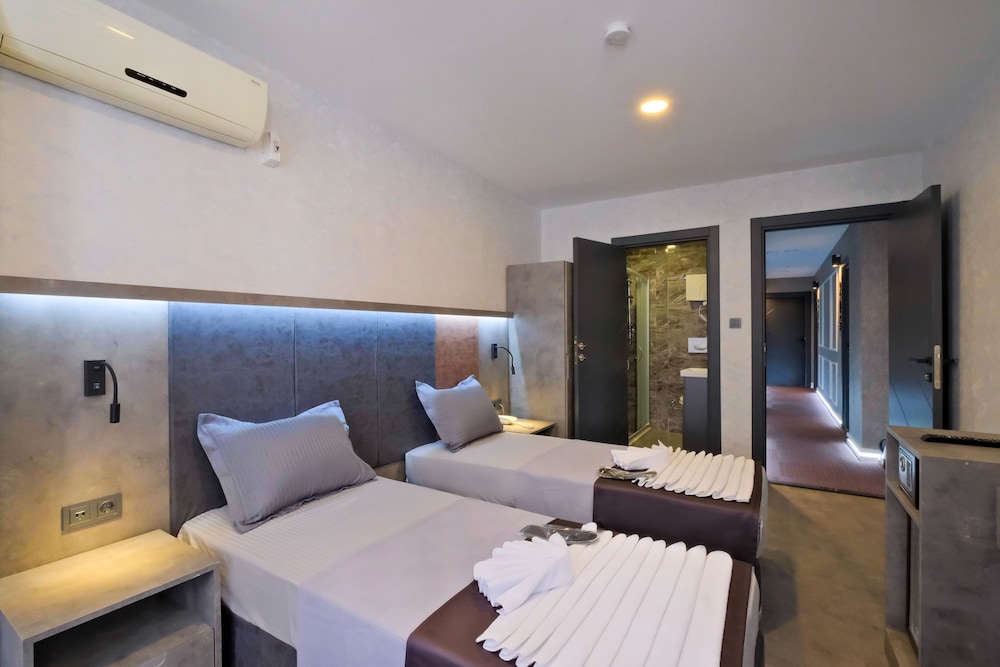 Deluxe Double or Twin Room photo 3