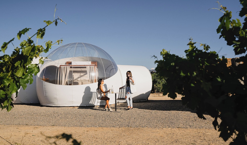 Comfort Room, Vineyard View