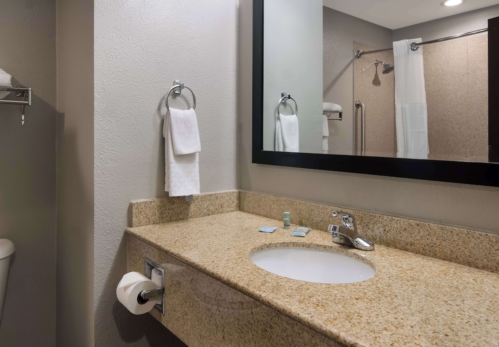 Suite, 1 King Bed, Non Smoking, Refrigerator & Microwave (with Single Sofabed) - Photo 4