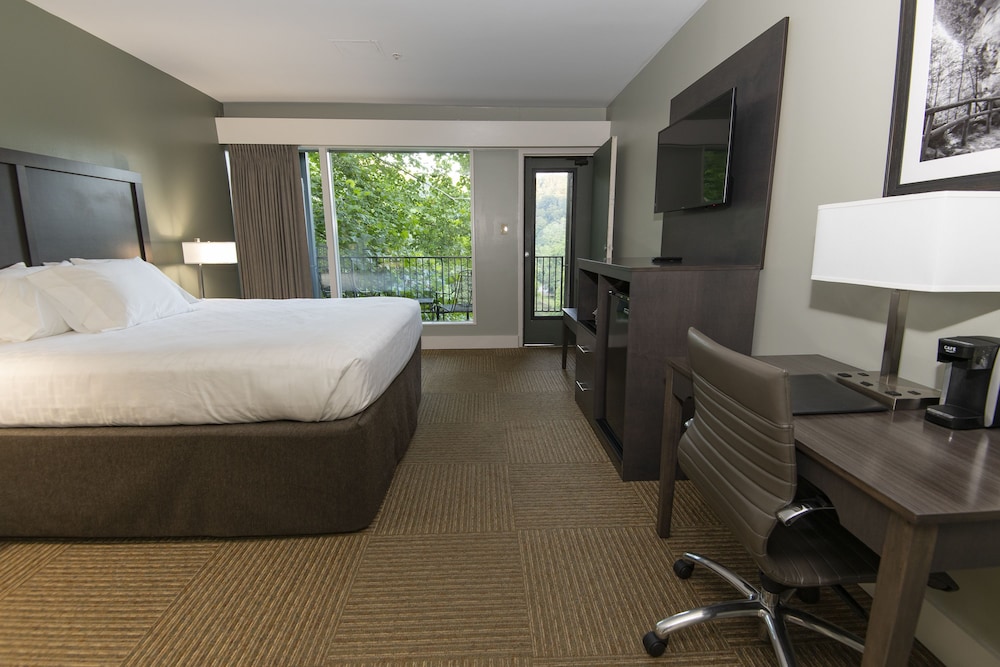Room, 1 King Bed photo 1