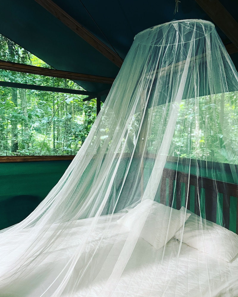 Tree House, Ensuite (Tropical Cabin) photo 3