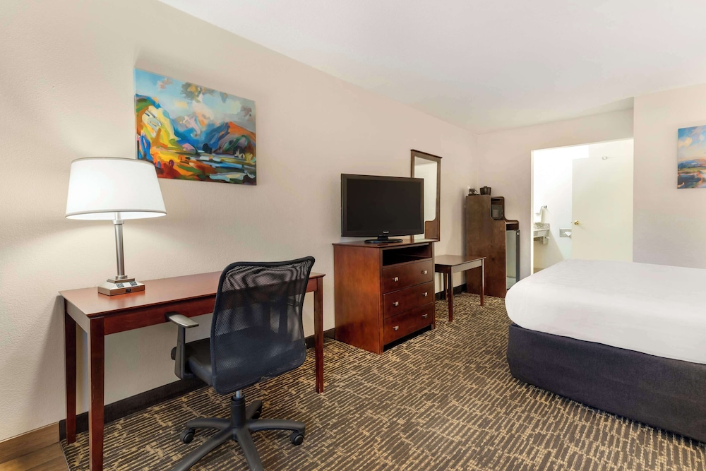 Standard Room, 1 King Bed, Accessible, Refrigerator & Microwave (With Single Sofabed) photo 1