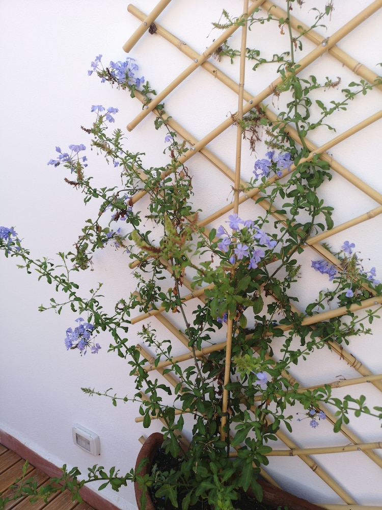 Panoramic Room - Photo 6