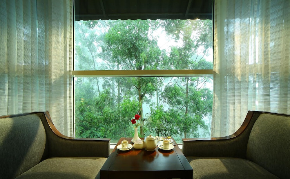 Blanket Camellia