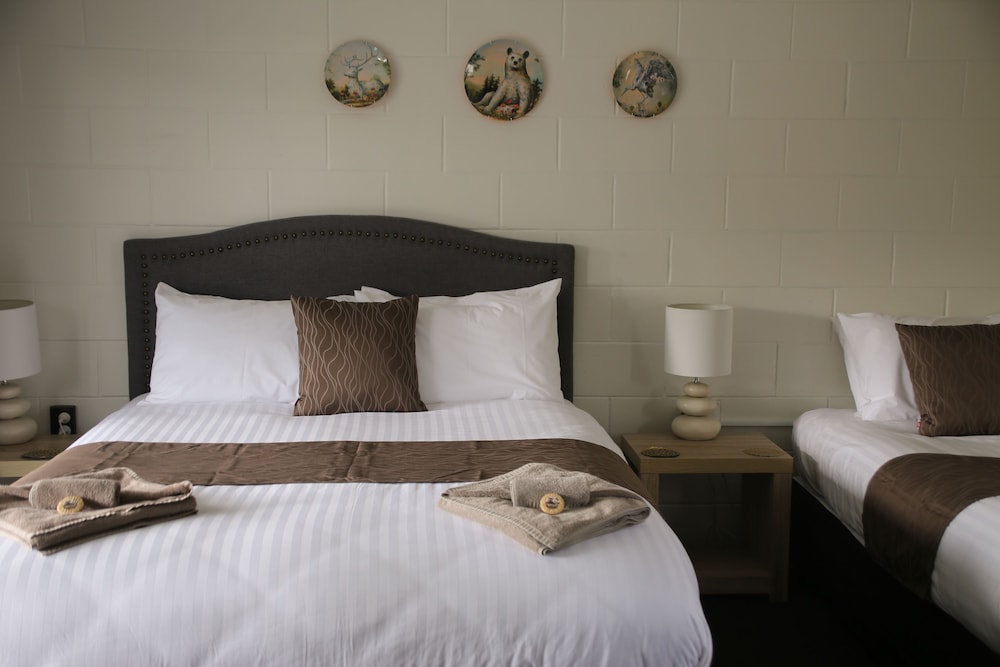 Studio, Multiple Beds (Triple Studio)