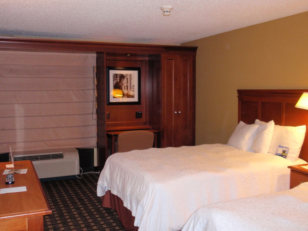 Room, 1 King Bed, Accessible, Non Smoking (Mobility,Hearing,Tub w/Grab Bars) - Photo 4