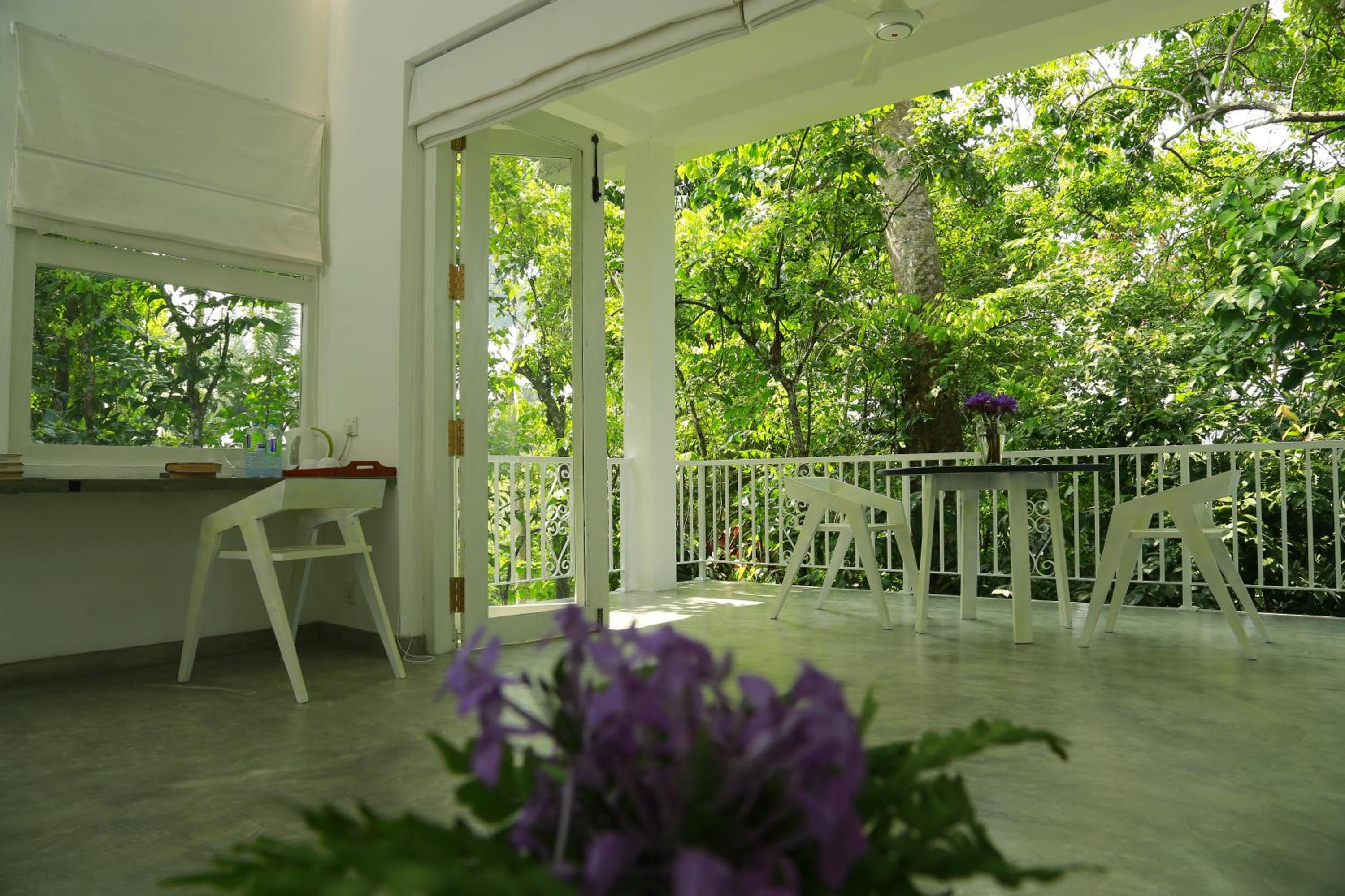 Deluxe Room with Jungle view