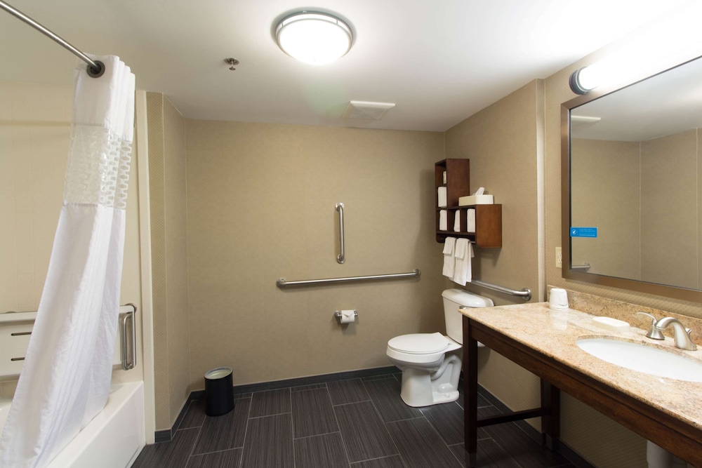 Room, 1 King Bed, Accessible, Bathtub - Photo 7