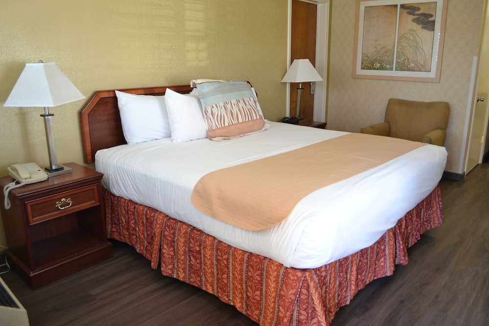 Room, 1 King Bed photo 3