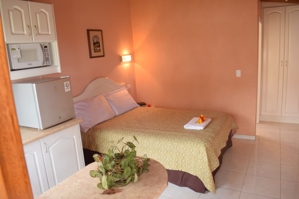 Basic Suite, 1 Double Bed, Non Smoking photo 1