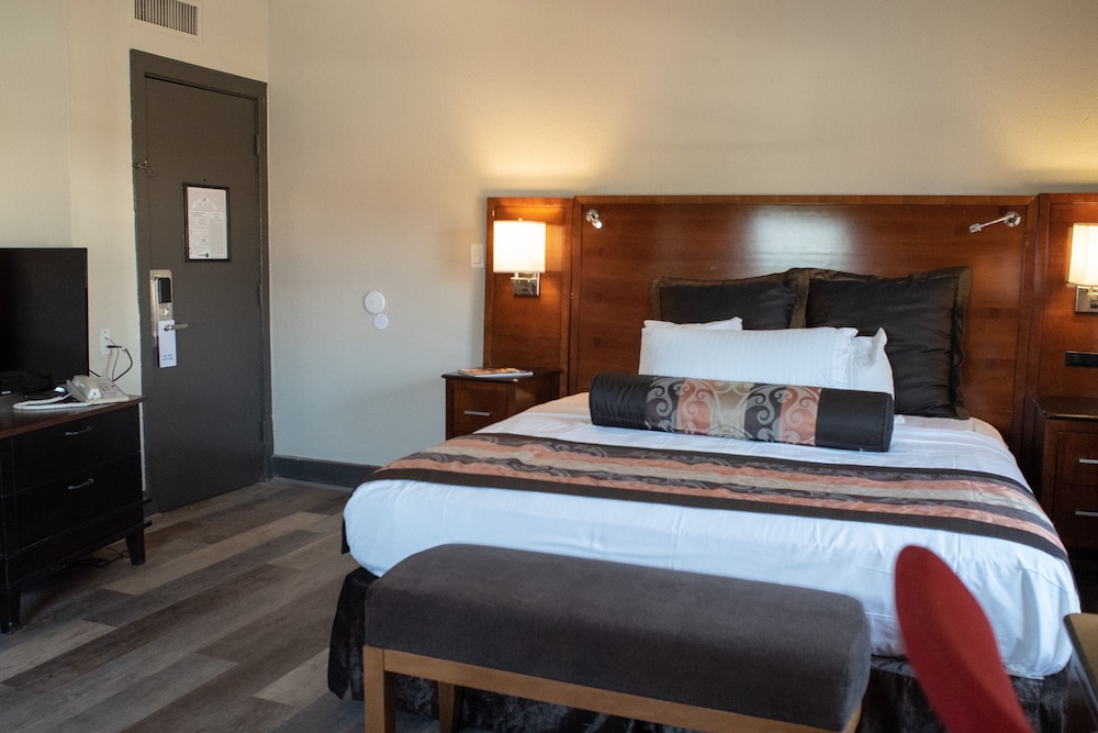 Basic Room, 1 King Bed photo 3