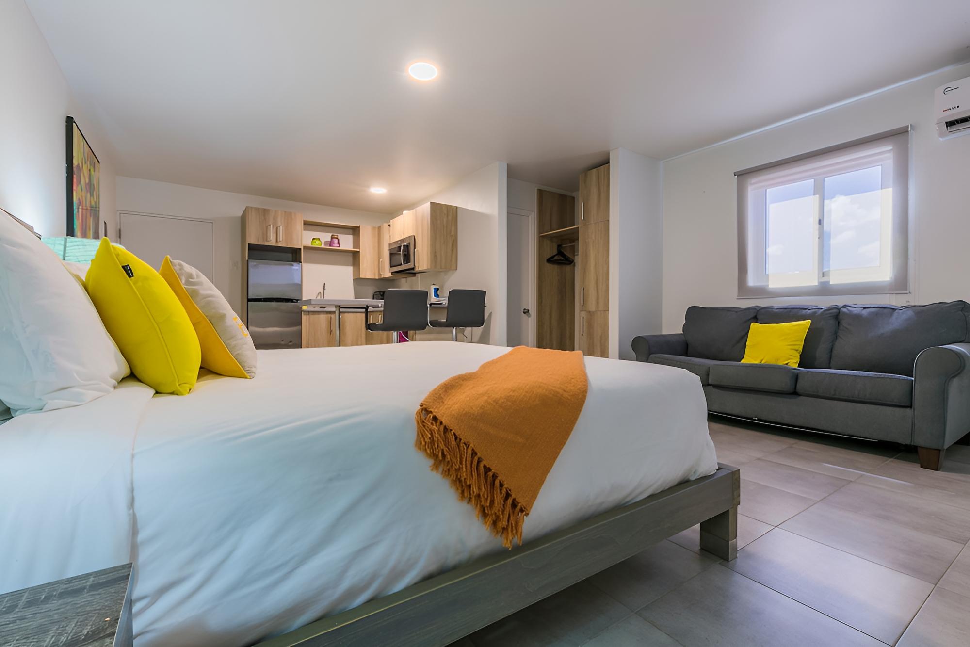 Deluxe Studio Suite, 1 King Bed with Sofa bed, Kitchen