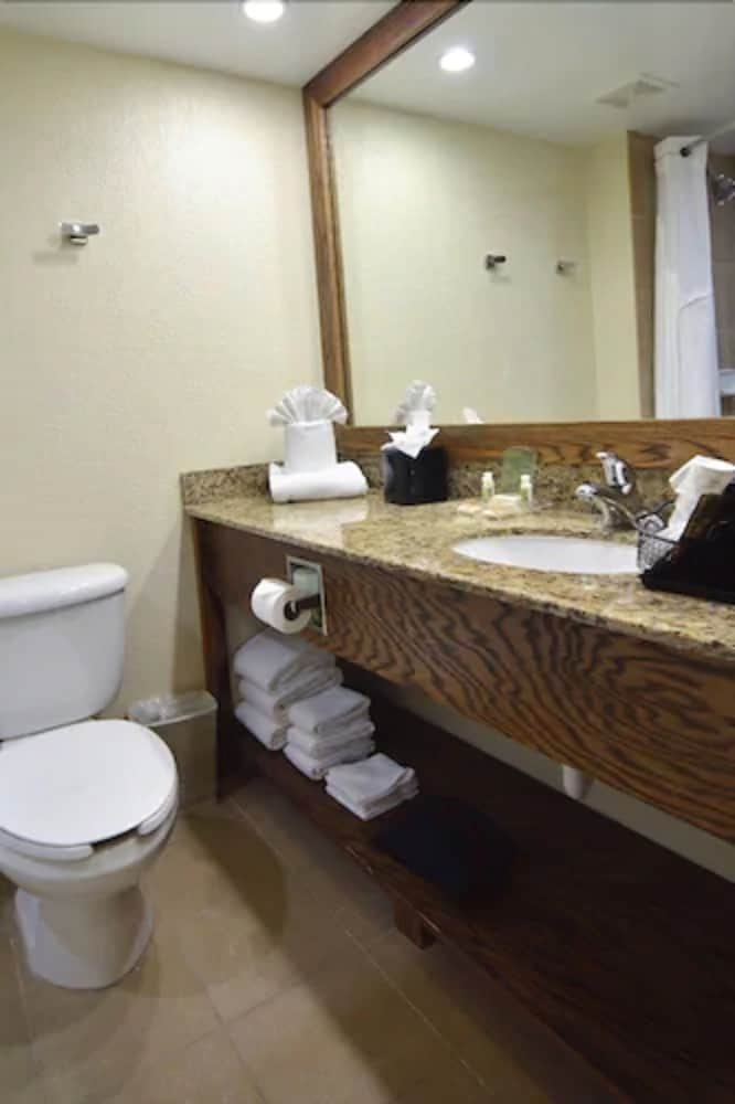 Holiday Inn - Fort Myers - Downtown Area by IHG, Bild 6