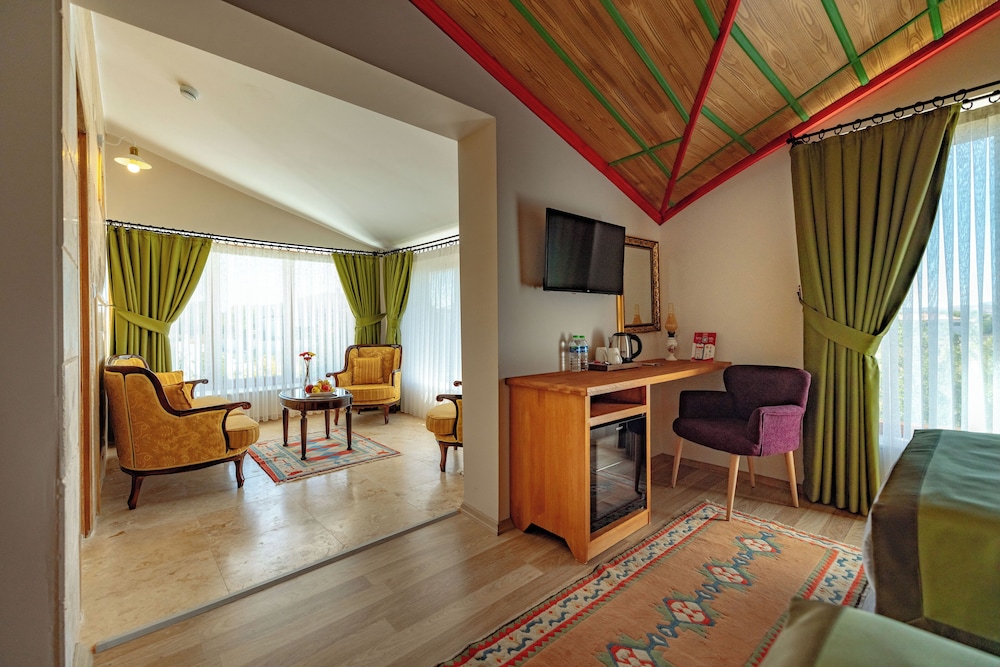 Grand Room, 1 King Bed photo 1